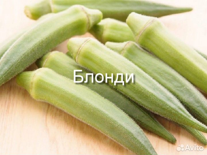 Бамия Бургунди, Блонди, Хилл Кантри