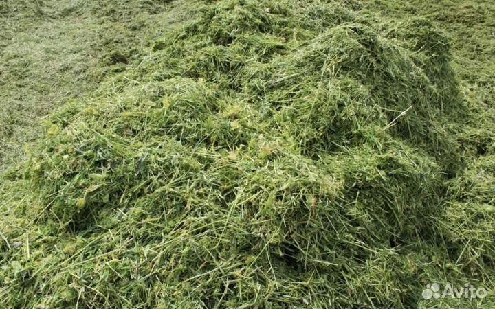 Силос разнотравье, сено