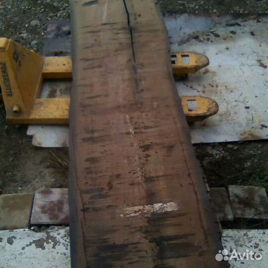 Дуб мореный