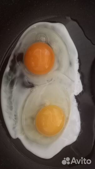 Домашние куриные яйца