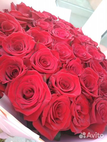 Розы Букеты Цветы Доставка