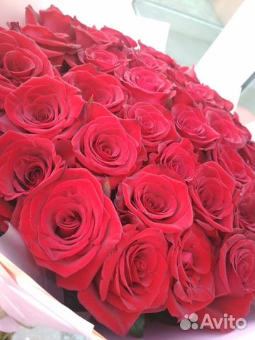 Розы Букеты Цветы Доставка
