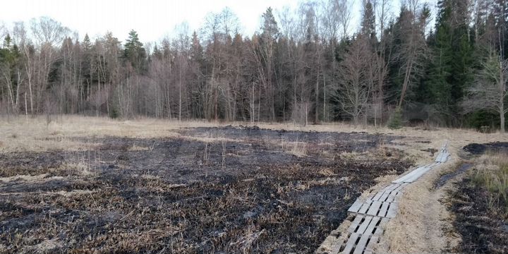 Участок 9 сот. (ИЖС)