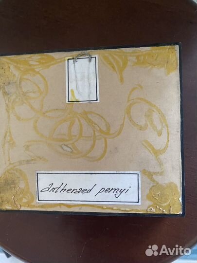 Бабочки-высушен