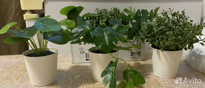 Фейка Fejka Икеа