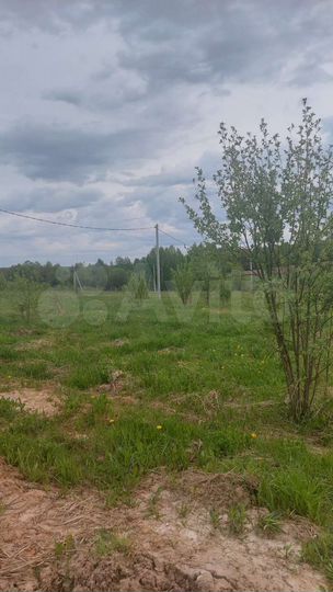 Участок 15 сот. (ИЖС)