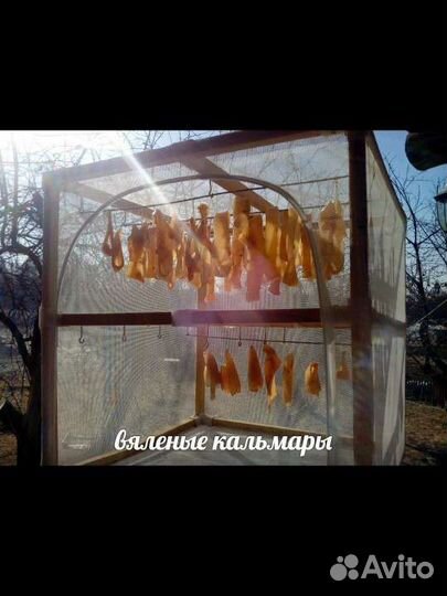 Стационарная сушилка для рыбы, мяса, кальмаров