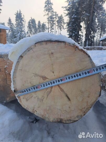 Бревно кругляк