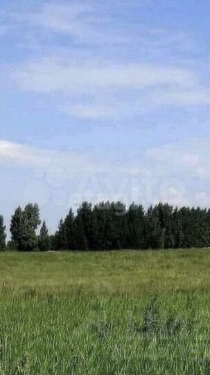 Участок 18 сот. (ИЖС)