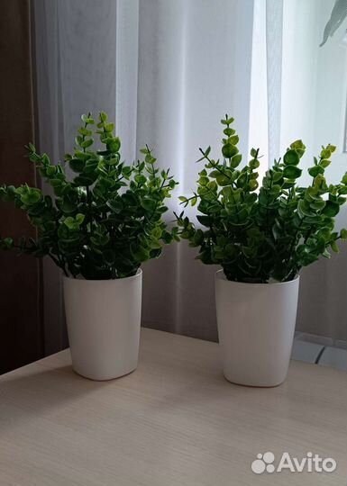 Искусственные растения