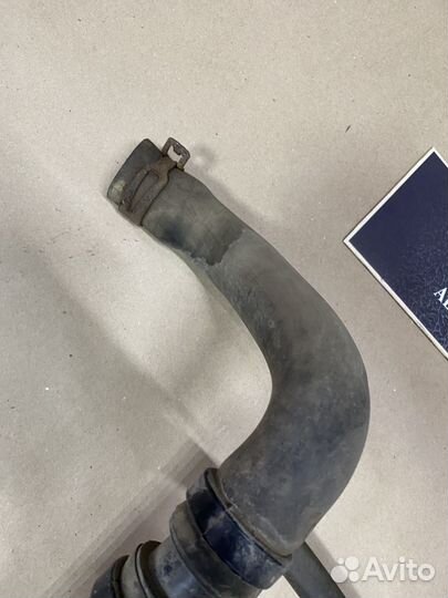Патрубок охлаждения нижний Nissan almera g15