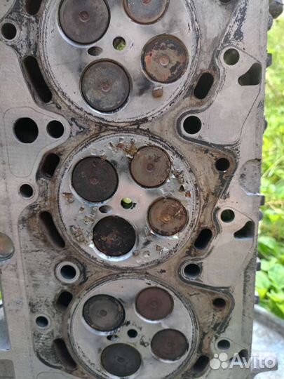 Головка блока цилиндров ford transit