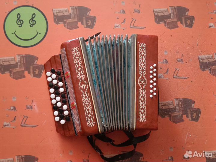 Баян Малыш редкий, юбилейный /Скупка