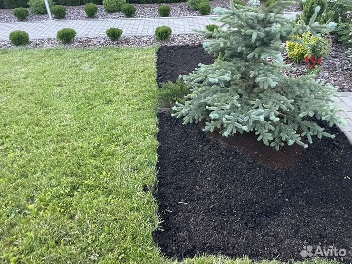 Плодородная земля - просеянный грунт от 5 m3