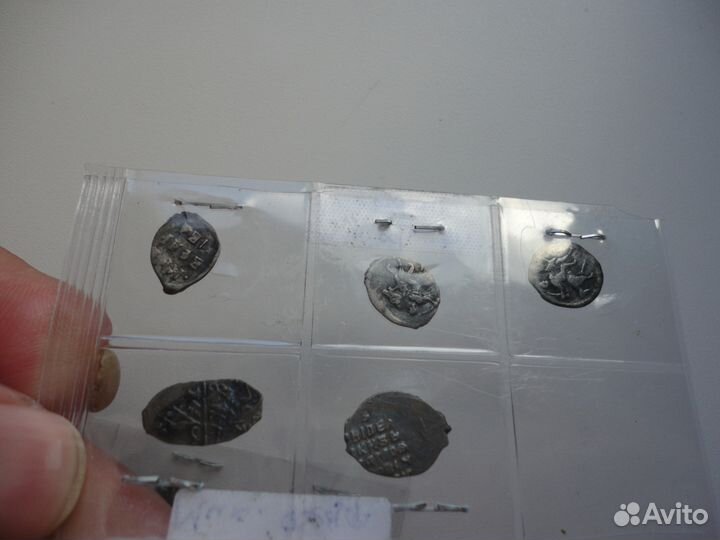 Копейки-чешуйки