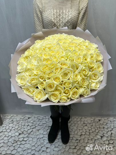 101 роза Букет Цветы