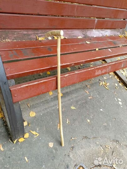 Трость орех