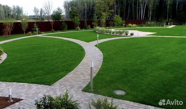 Рулонный газон под ключ