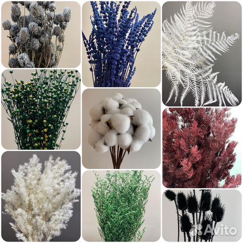 Сухоцветы в наличии