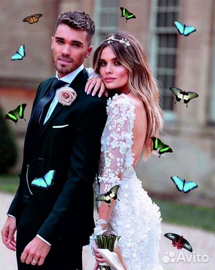 Салют из Живых Тропических Бабочек с/б-7