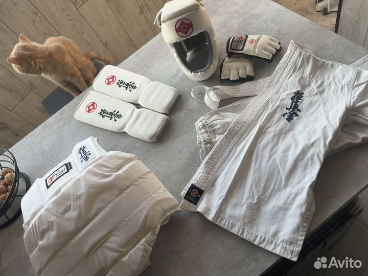 Кимоно и полный комплект защиты