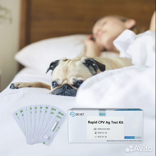 Новый набор для тестирования на Парвовирус