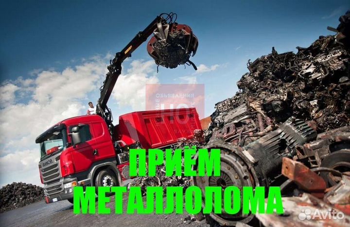 Начальник приемного пункта