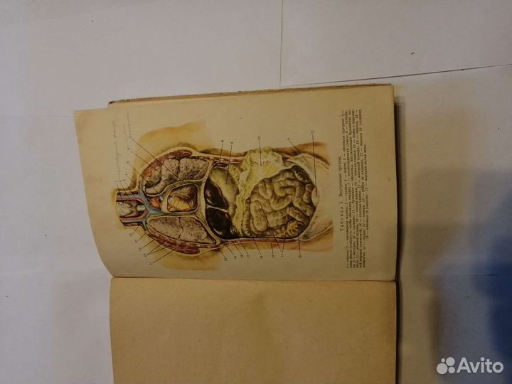 Анатомия и физиология человека учебник для 8 класс