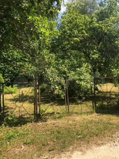 Участок 5,5 сот. (СНТ, ДНП)