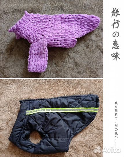 Толстовка для собаки