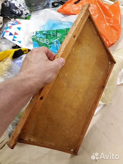 Соты пчелиные, сушь