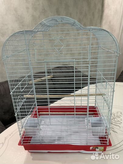 Клетка для среднего попугая