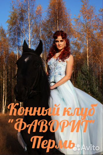 Конные прогулки/обучение/подарочные сертификаты