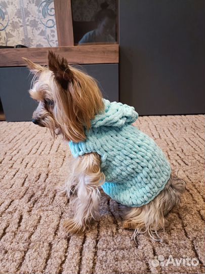 Свитер для собак