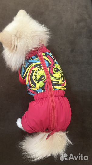 Дождевик для собак