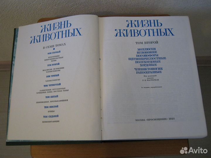 Энциклопедия 