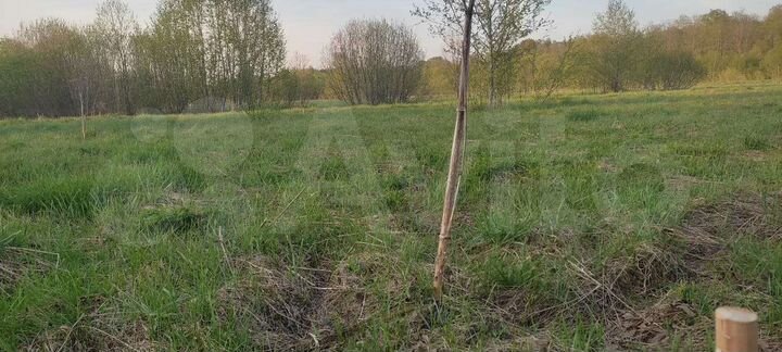 Участок 15 сот. (ИЖС)