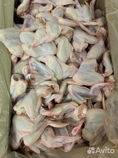 Корм для животных