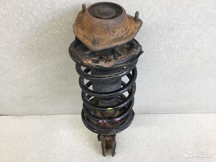 Амортизатор передний левый Hyundai Accent II (тага