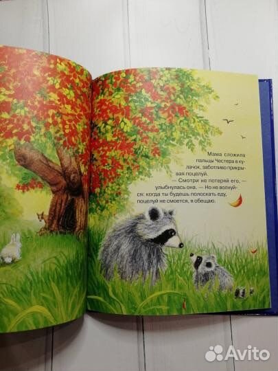 Новая Книга «Поцелуй в ладошке»