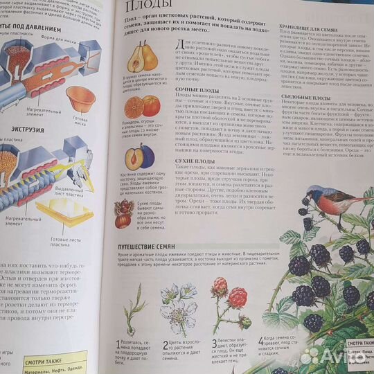 Большая энциклопедия школьника