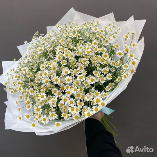Заказать цветы с ромашками и бесплатной доставкой