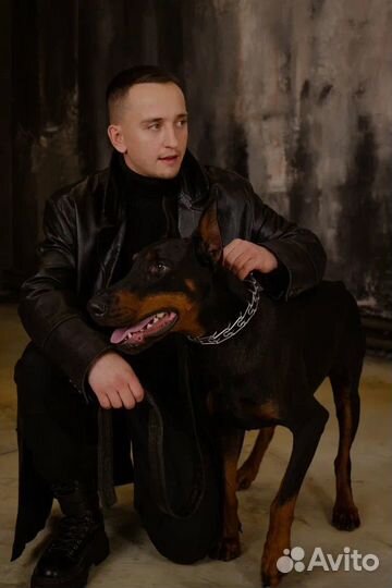 Фотосессия с доберманом