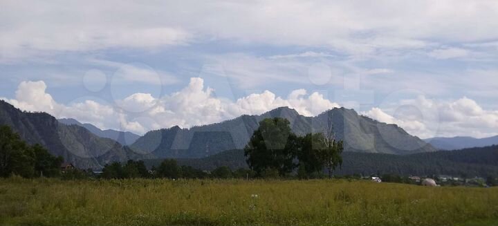 Участок 20 сот. (СНТ, ДНП)