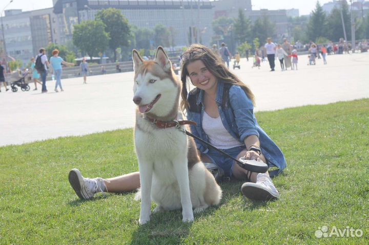 Передержка