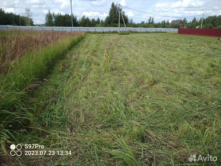 Скошенная трава сено