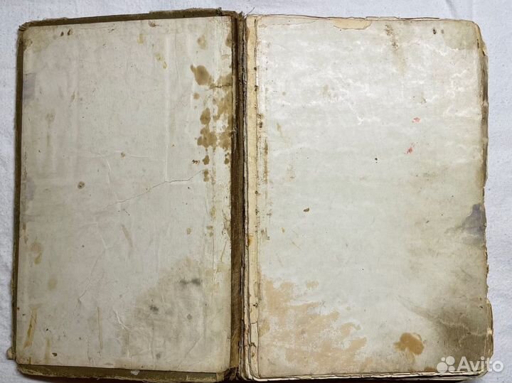 Антикварная книга 1896 год Мужчина и Женщина