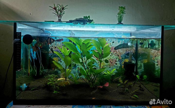 Аквариум