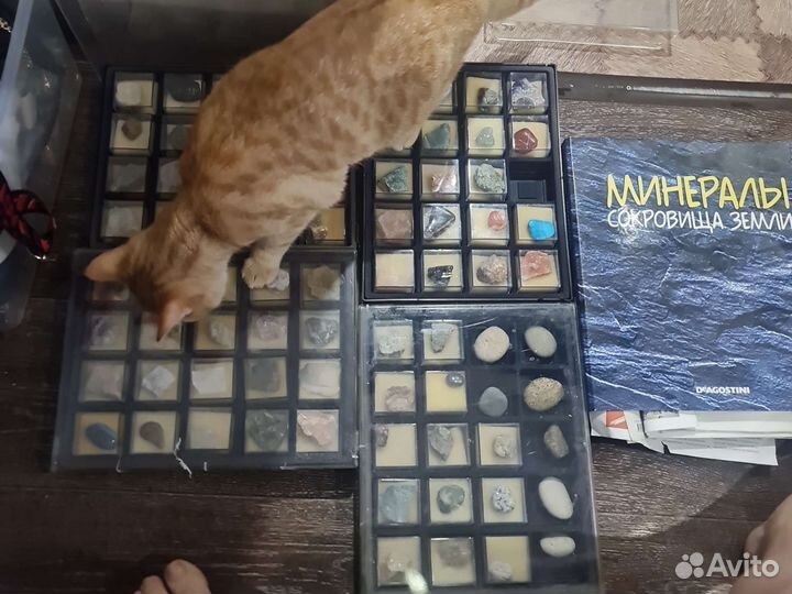 Камни и минералы коллекция
