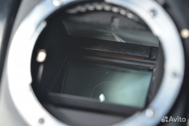 Nikon N6006 (Nikon F-601) body